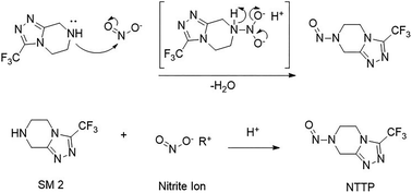 Exploration and detection of nitrosamine impurity nitroso-STG-19 in ...